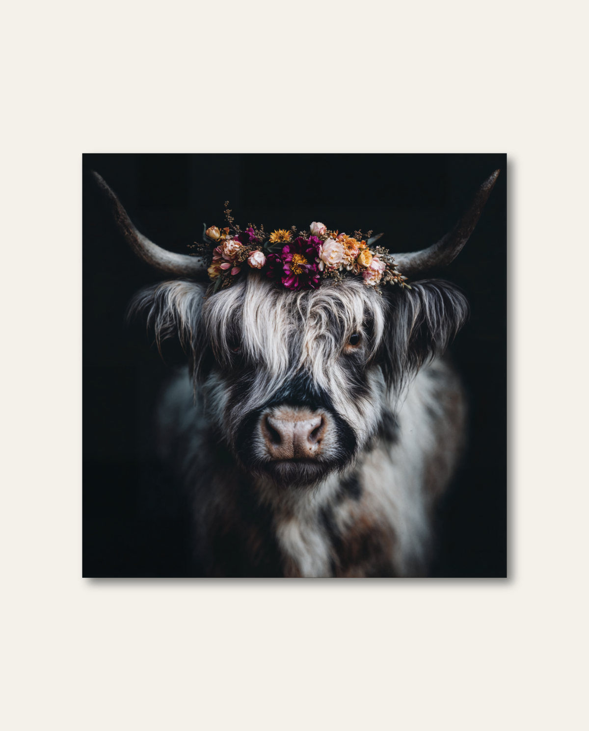 Exklusive Leinwand mit Highland Cow – zauberhaftes Tierporträt voller Wärme, Charme und moderner Natur-Ästhetik für Ihre Wände.