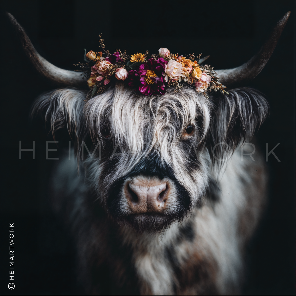 Das Motiv zeigt ein Highland-Rind (Schottisches Hochlandrind) in einer künstlerischen Nahaufnahme, geschmückt mit einem farbenfrohen Blumenkranz zwischen den Hörnern. Die kontrastreiche Darstellung vor schwarzem Hintergrund betont das zottelige Fell und die sanfte Ausstrahlung des Tieres.